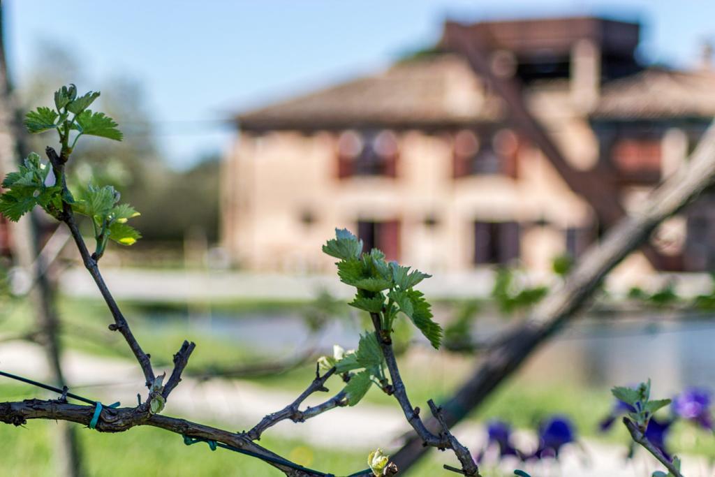 Valgrande Bibione Casone Villa Exterior photo